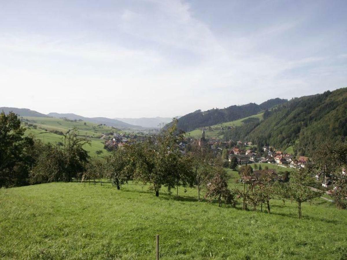 Pension Waldfrieden Oberharmersbach Exterior photo